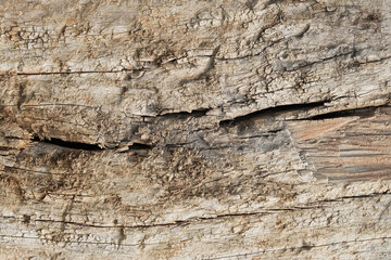 Old wood texture, Background of Cracked wood 