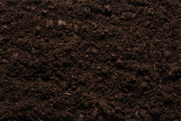 Black land for plant background.