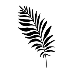 Black palms leaves on a white background. Trendy design element