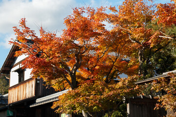 Ogurayama's location in a tranquil region of Japan a colorful natural place