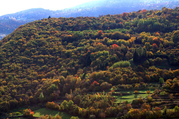 autumn landscape in the mountains,view, nature,panorama,tourism,travel ,trees,