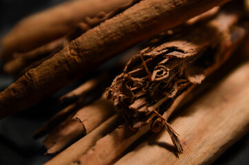 cinnamon sticks on a white background