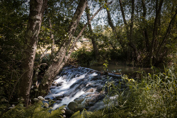 Fototapeta na wymiar Small stream in the woods surrounded by trees located in River Uima, locality of Aveiro