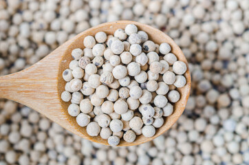 Dried white peppercorn seeds.