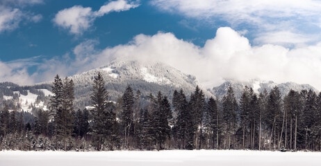 Ein blick auf schneebedeckte, wolkenüberzogene Berge (Alpen) von hinter einem kleinen Wald