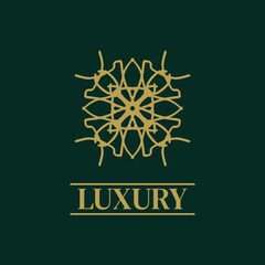 Mandala Geometric ornament logo Elegant premium icon vector design