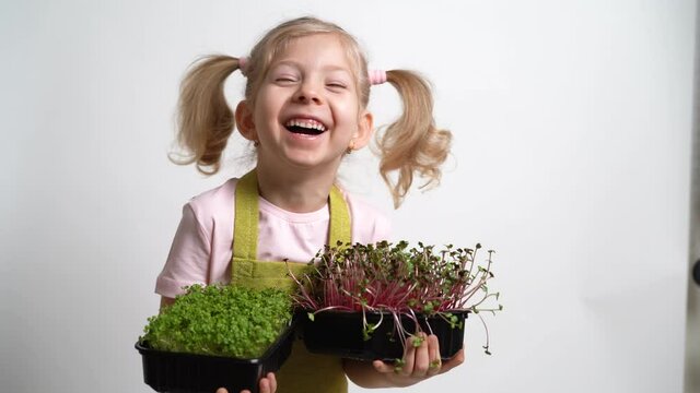 A small blonde girl smiles and holds a seedling of micro greens in her hands. gardening and planting concept