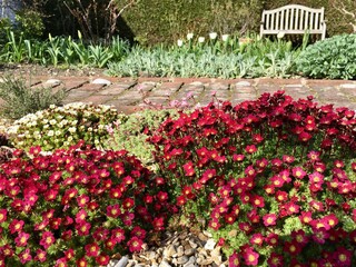 Alpine flower bed in the garden in spring time 