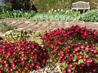 Alpine flower bed in the garden in spring time 