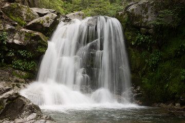 Fototapeta na wymiar waterfall flowing in a hidden place in a green peaceful place