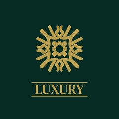 Fototapeta premium Mandala Geometric ornament logo Elegant premium icon vector design