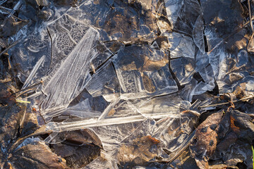 Shattered Ice on Muddy Soil