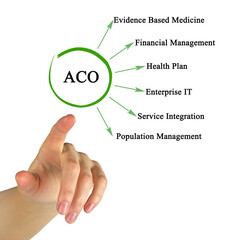 Woman Presenting Accountable Care Organizations