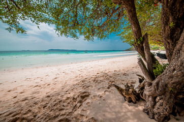 Seaside, Tien Beach, Koh Larn, Pattaya, Thailand