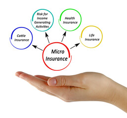 Four Applications for Micro Insurance .