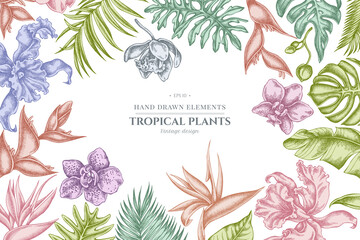 Floral design with pastel monstera, banana palm leaves, strelitzia, heliconia, tropical palm leaves, orchid