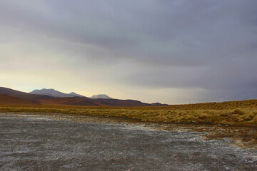 Vegetación andina, Bolivia