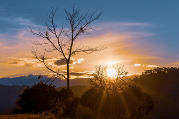 Naklejka premium Sunset behind tree with mountain hill forest.