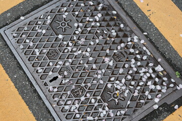 Fototapeta premium manhole 1
