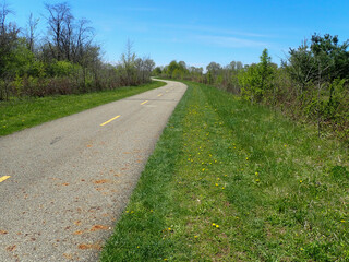 Pathway through the grass and trees