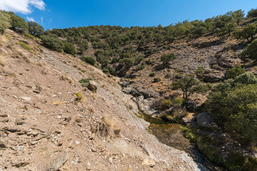 Water flowing down a ravine in Sierra Nevada