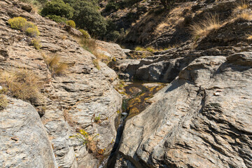 Fototapeta na wymiar Water flowing down a ravine in Sierra Nevada
