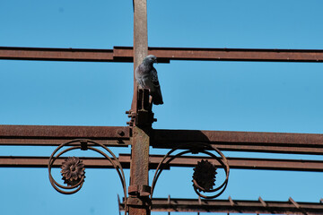 old slaughterhouse structure with rusty iron decorations (EX MACELLO MONZA) italy, lombardy.