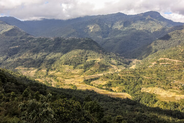 Obraz premium Green forests and fields of a village in Nagaland