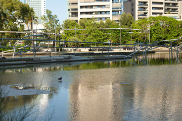 Fototapeta na wymiar An artificial reservoir in a city park. Resting place for the townspeople and embracing birds. Barcelona, Spain, Diagonal Mar Park.