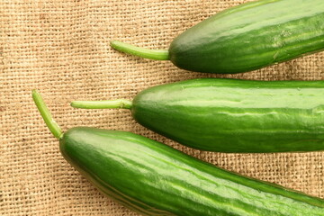 Three green cucumbers, close-up, on sacking, top view.