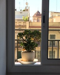 Window of Barcelona