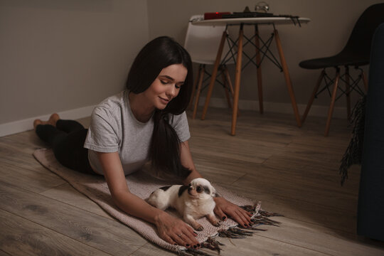 Beautiful Woman Doing Yoga At Home Before Bedtime With Her Cute Chihuahua Dog