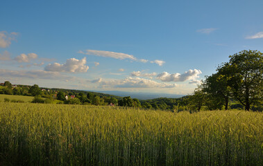 Idyllische Landschaft im Sommerlichen Spessart
mit blick zum Odenwald