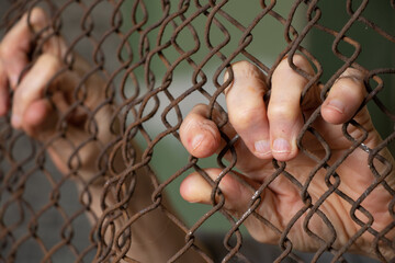 old female hands hang on a fence made of iron mesh