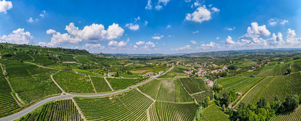 drone aerial panorama shot over barolo vineyard (vines fields) in italy, unesco site. fields with grape varieties used to produce barolo italian wine, made from the nebbiolo grape.