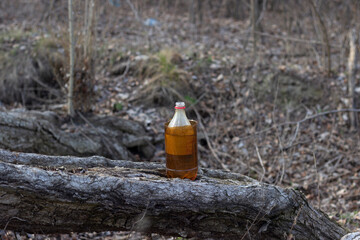 homemade bong in the forest, illegal drug and marijuana trade