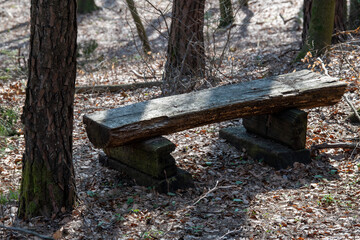 Holzbank im kahlen Winter / Frühjahrswald