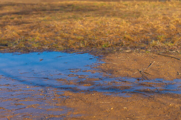 Natural texture or background of a sandy path at the end of March