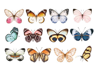 Watercolor colorful butterflies, isolated on white background. blue, yellow, pink and red butterfly spring illustration