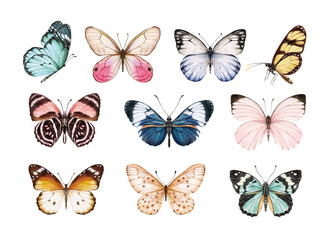 Fototapeta na wymiar Watercolor colorful butterflies, isolated on white background. blue, yellow, pink and red butterfly spring illustration