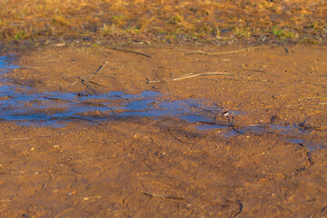 A path in a small town park on a clear sunny day in March close-up