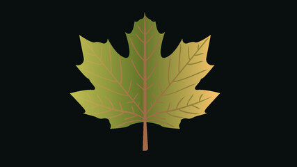 oak leaf