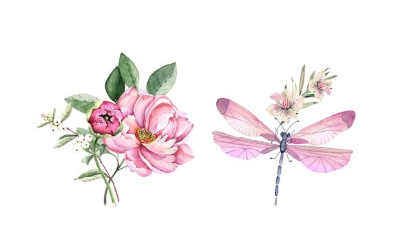 pink insect dragonfly with flowers on white background close up, illustration watercolor hand painted