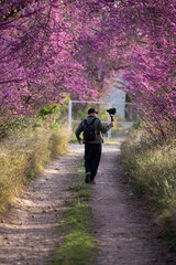 man recording a video in a landscape of flowering trees