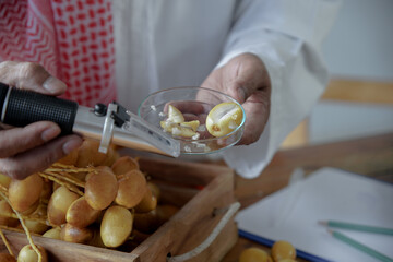 Selective focus of glass plate contain piece of date palm slices in Arab senior's hand for testing sweetness level of sugar in fruits with Brix Refractometer