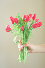 Spring bouquet of bright fresh tulips in hand.