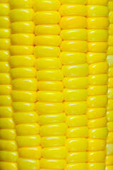yellow corn as a background. macro,Close-up Sweet Corn on the cob, ingredient prepare for organic food 