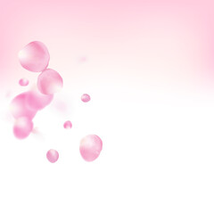 Rose Petals Flying Confetti. Windy Leaves Confetti Poster. Falling