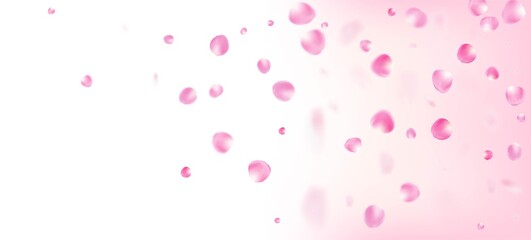 Fototapeta na wymiar Rose Petals Falling Confetti. Falling Japanese Rose Cherry Sakura