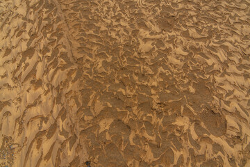 Rippled golden brown desert sand Texture background